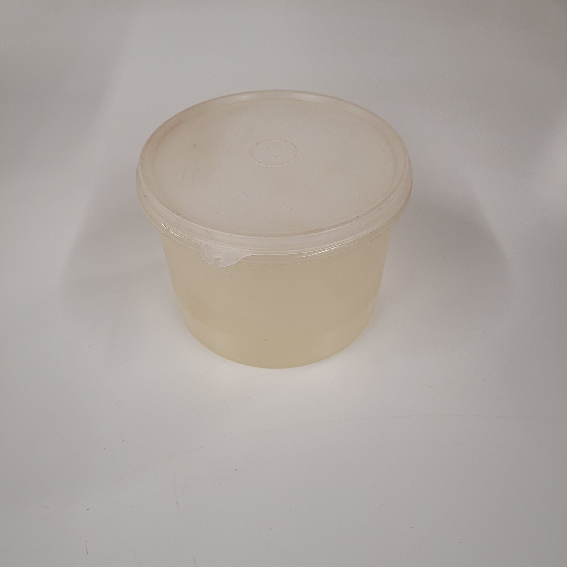 Vintage Clear Tupperware Container With Lid 263-18