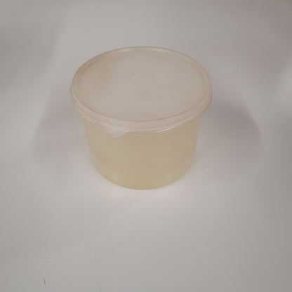 Vintage Clear Tupperware Container With Lid 263-18