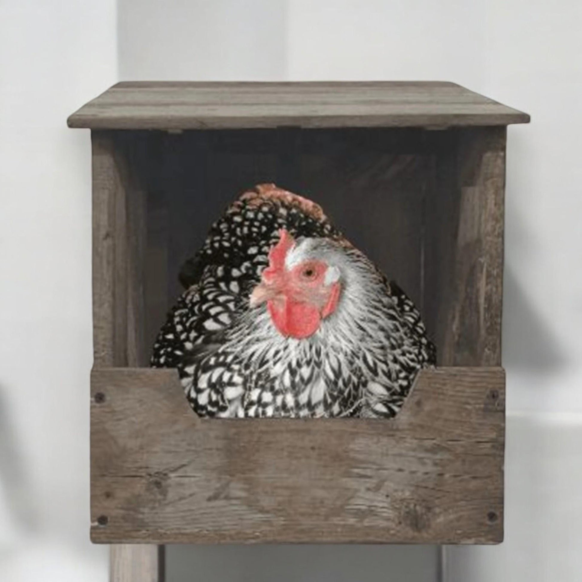 Nesting Box For Chickens & Rabbits With Hinged Lid