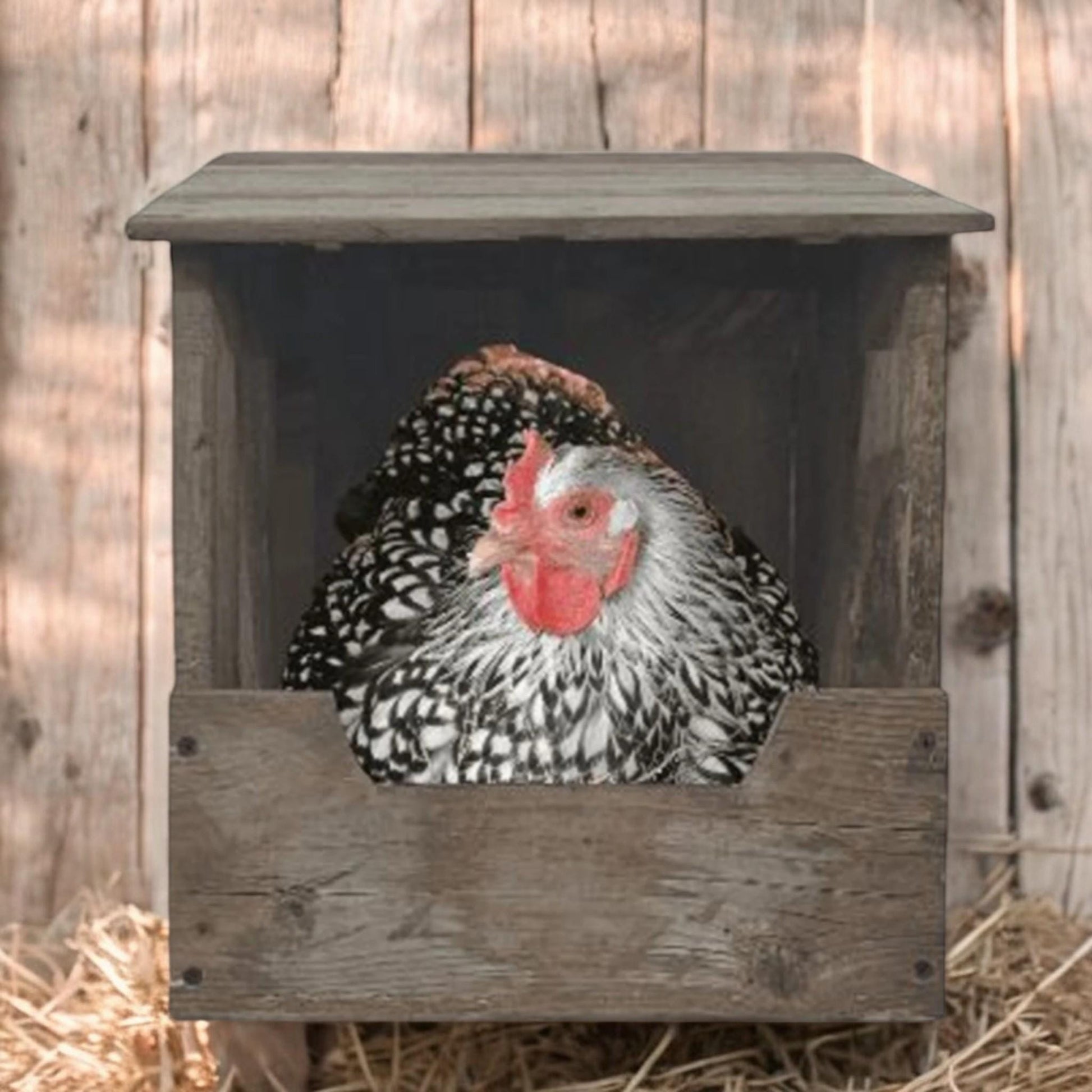 Nesting Box For Chickens & Rabbits With Hinged Lid