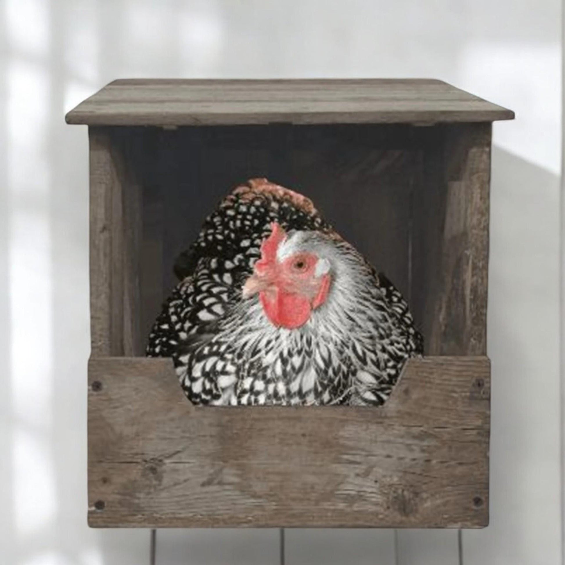 Nesting Box For Chickens & Rabbits With Hinged Lid