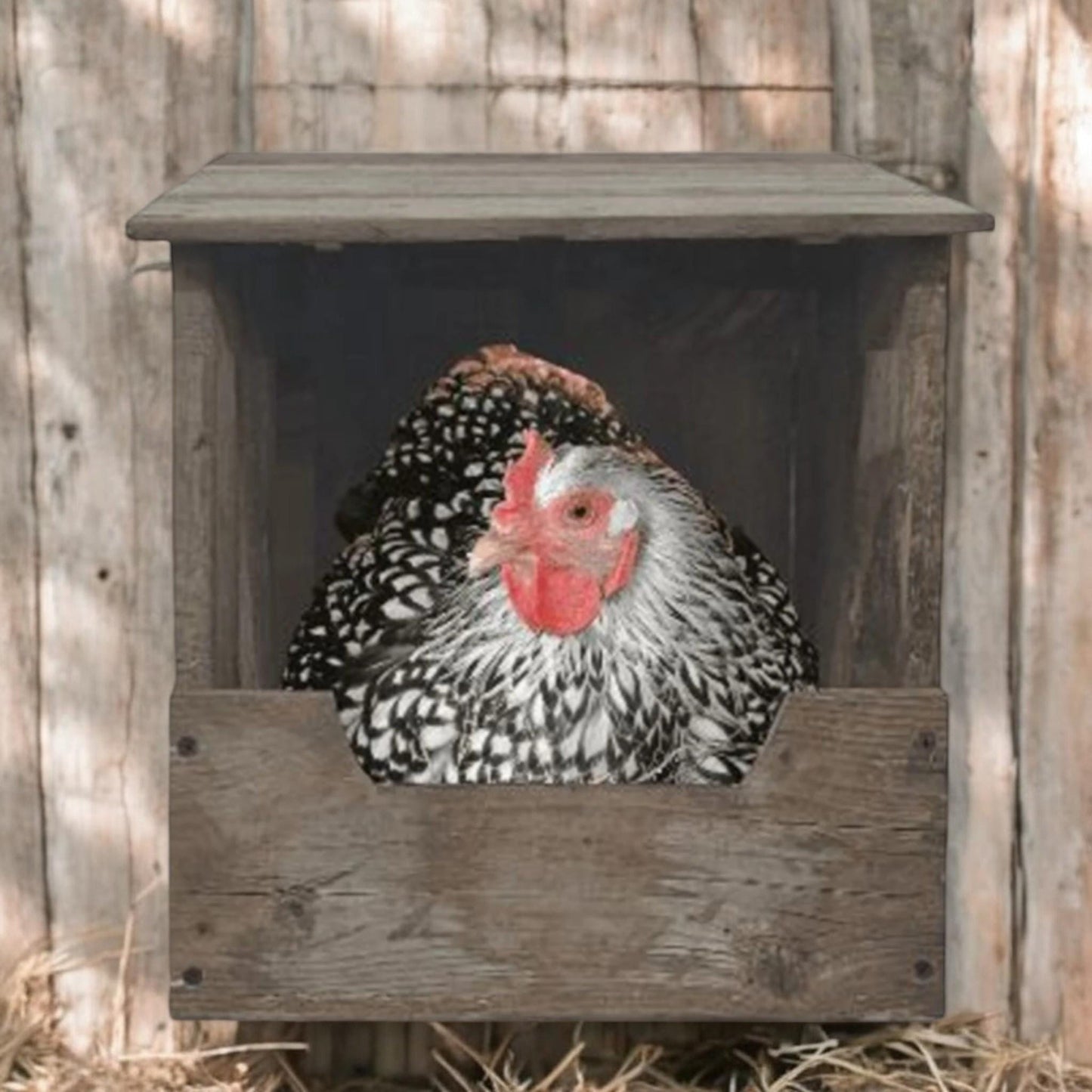 Nesting Box For Chickens & Rabbits With Hinged Lid