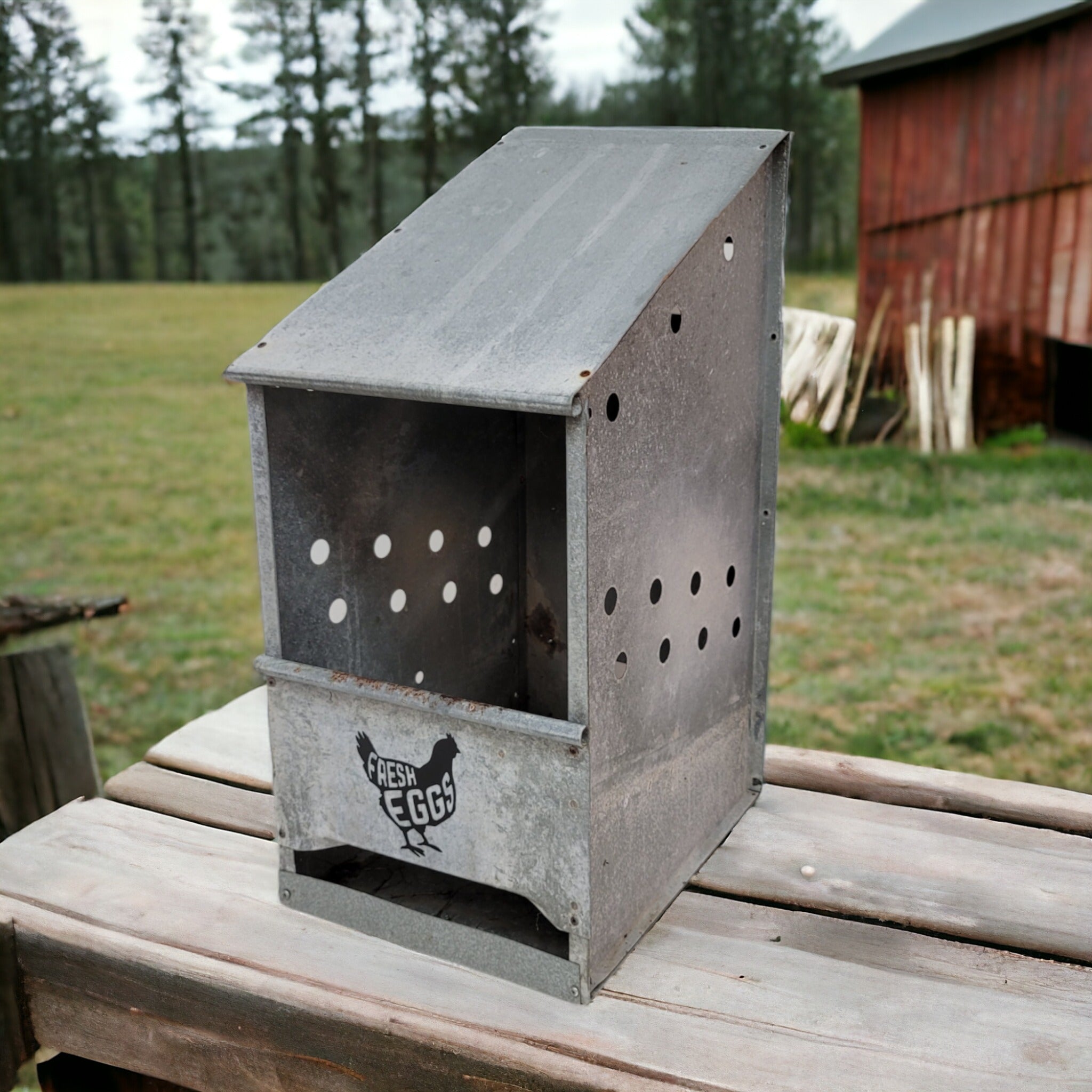 Antique metal egg carrier farmhouse barn decor/chicken nester/egg orders crate