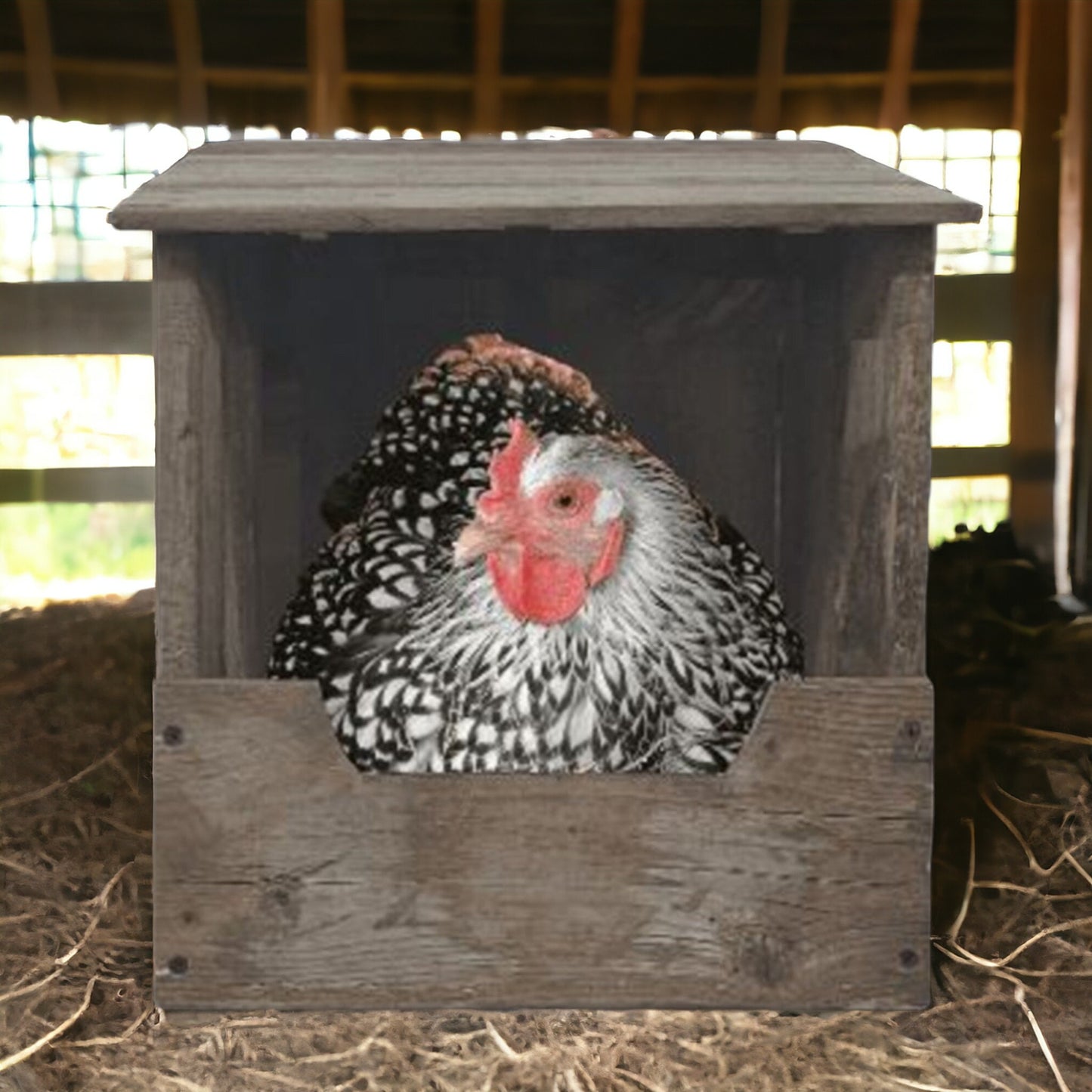 chicken nesting box chicken coop supplies hen laying nest