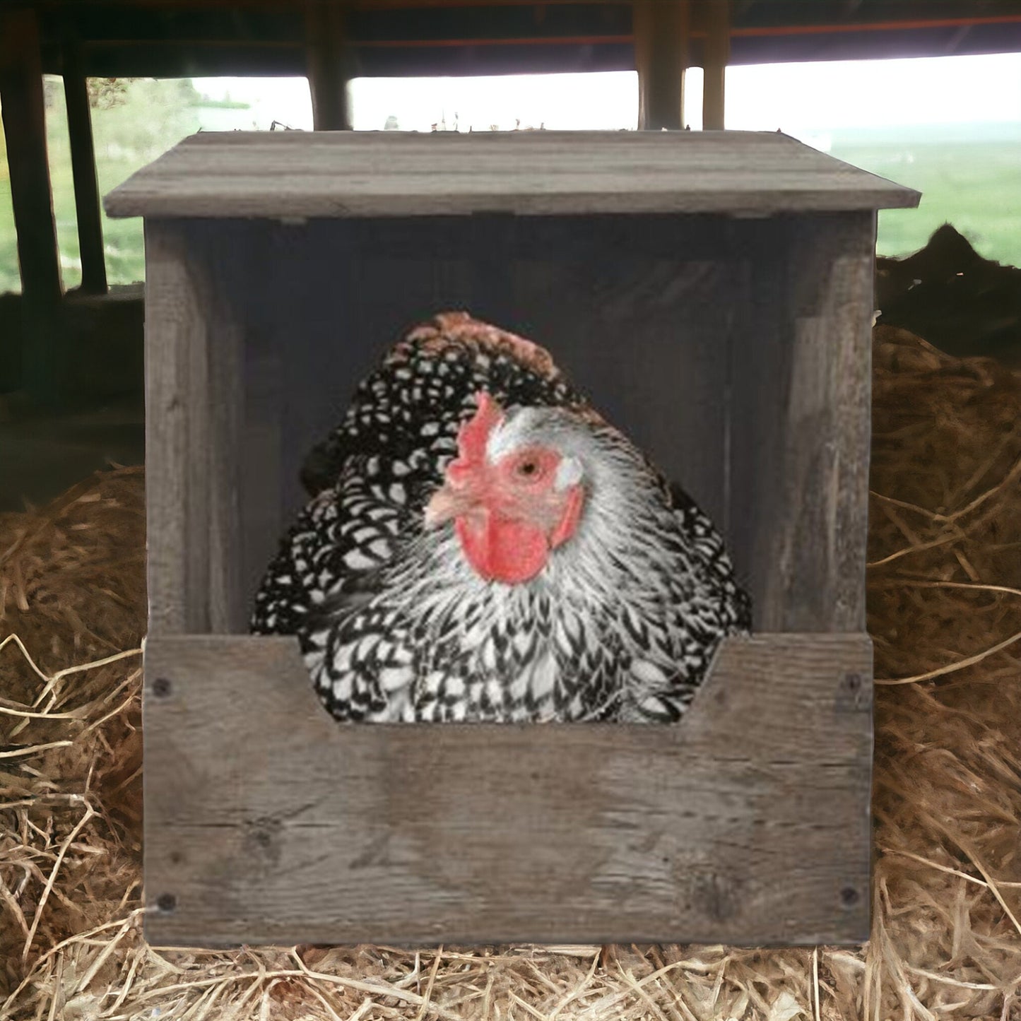chicken nesting box chicken coop supplies hen laying nest