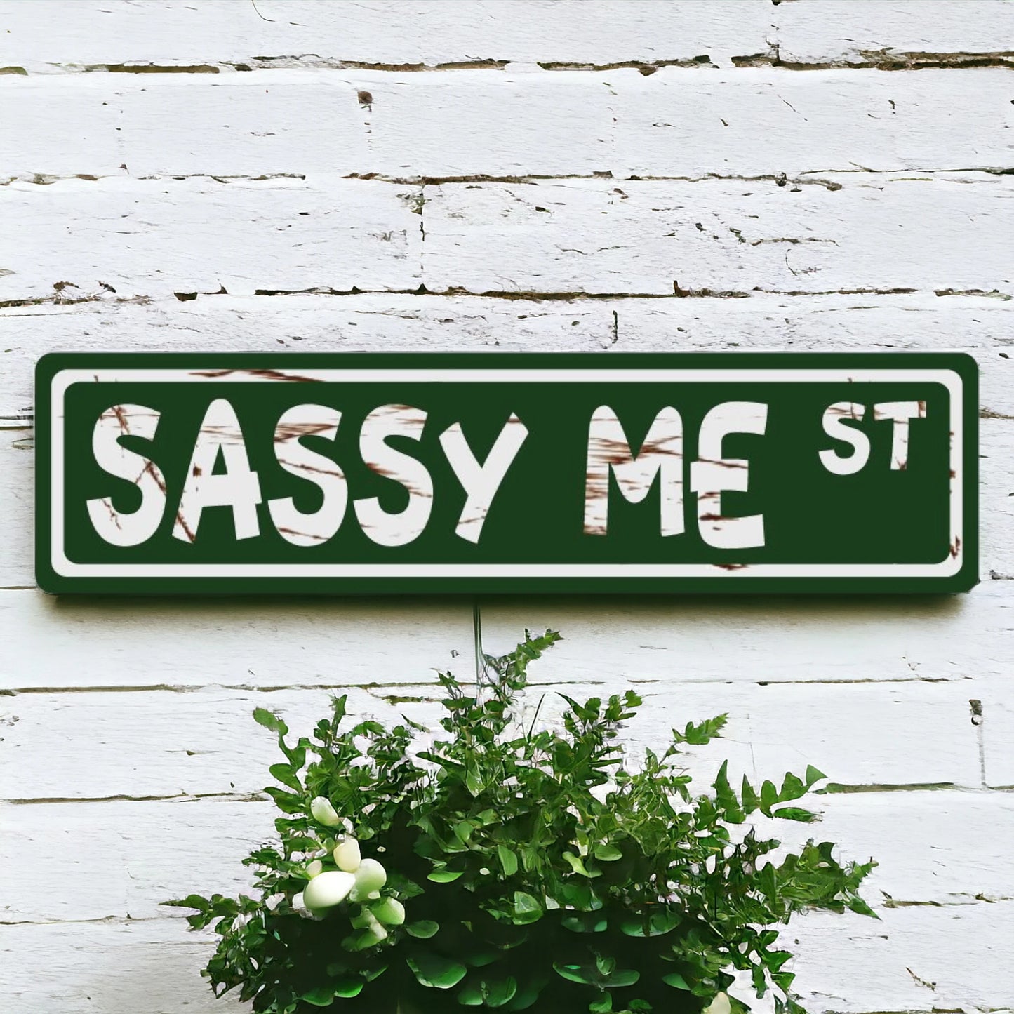 Sassy Me Street Sign