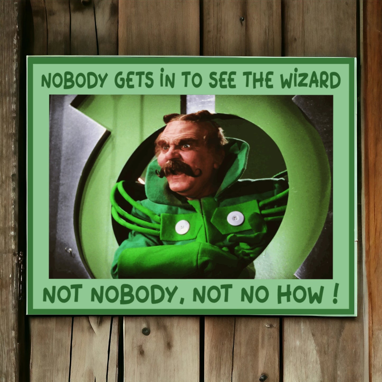 Nobody Gets In To See The wizard 