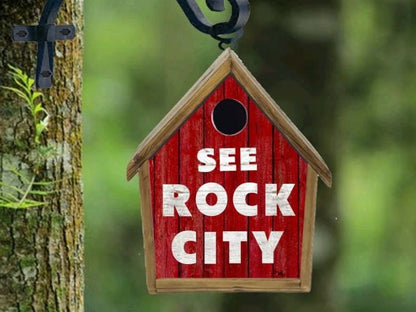 Cartoon Birdhouse Bird House Handmade Custom Design Old Joe Crow